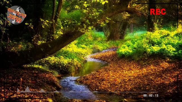 Oldies Songs Of The 1960s - Elvis, Engelbert, Carpenters | Golden Oldies Greatest Hits 50s 60s 70s смотреть онлайн