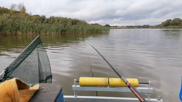 Карась в сентябре успешная рыбалка на пруду смотреть онлайн