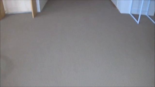 MIELE BLIZZARD CX1 (CAT & DOG) VACUUM CLEANER - PRODUCT DEMONSTRATION, TEST AND REVIEW смотреть онлайн