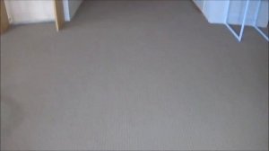 MIELE BLIZZARD CX1 (CAT & DOG) VACUUM CLEANER - PRODUCT DEMONSTRATION, TEST AND REVIEW