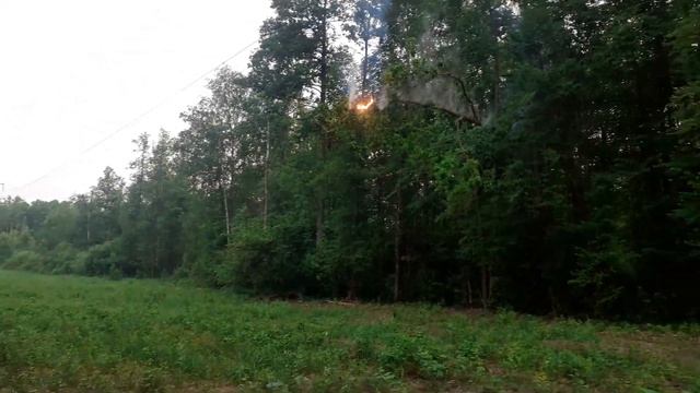 Гомельский р-н, 21.06.2020г., горит дерево из-за замыкания, ЛЭП около 104 мкрн. смотреть онлайн