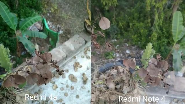 Xiaomi Redmi 4A vs Xiaomi Redmi Note 4 -Camara Test смотреть онлайн