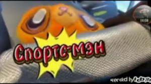 СИМБА - СПОРТСМЕН! 💪💪💪 | #симба | #симбочка | #мурсдей | #жмых | #жмыхэффект