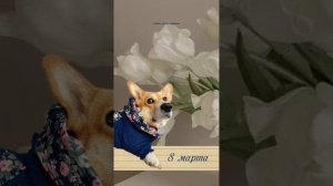 С Международным Женским днём!