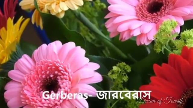 350 Flowers Name With Picture/Flowers Name With Meaning/flowers/Lover Of Flowers Is Always Innocent