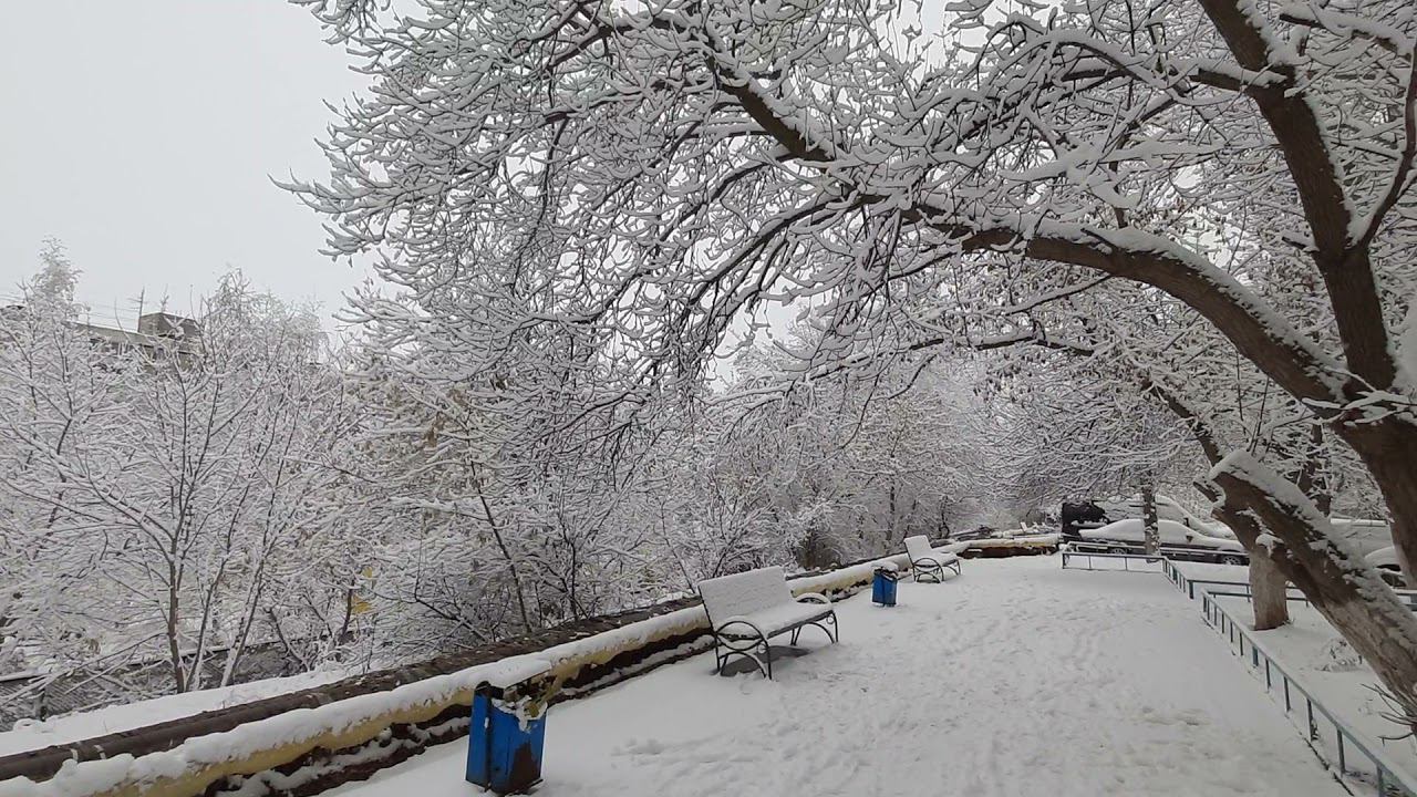 Саратов первый снег в этом году 18 декабря 2021 смотреть онлайн