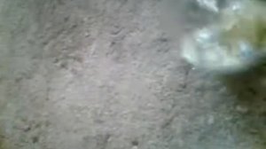 Как сделать хороший клей в домашних условиях из пенопласта и бензина
