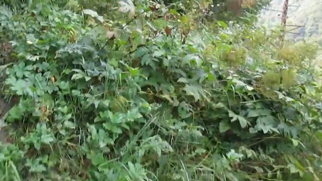 Ремонтная Мастерская