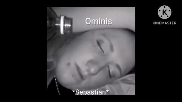 Hogwarts Legacy as Vines смотреть онлайн