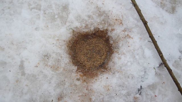 Не большой отчёт о рыбалке. смотреть онлайн