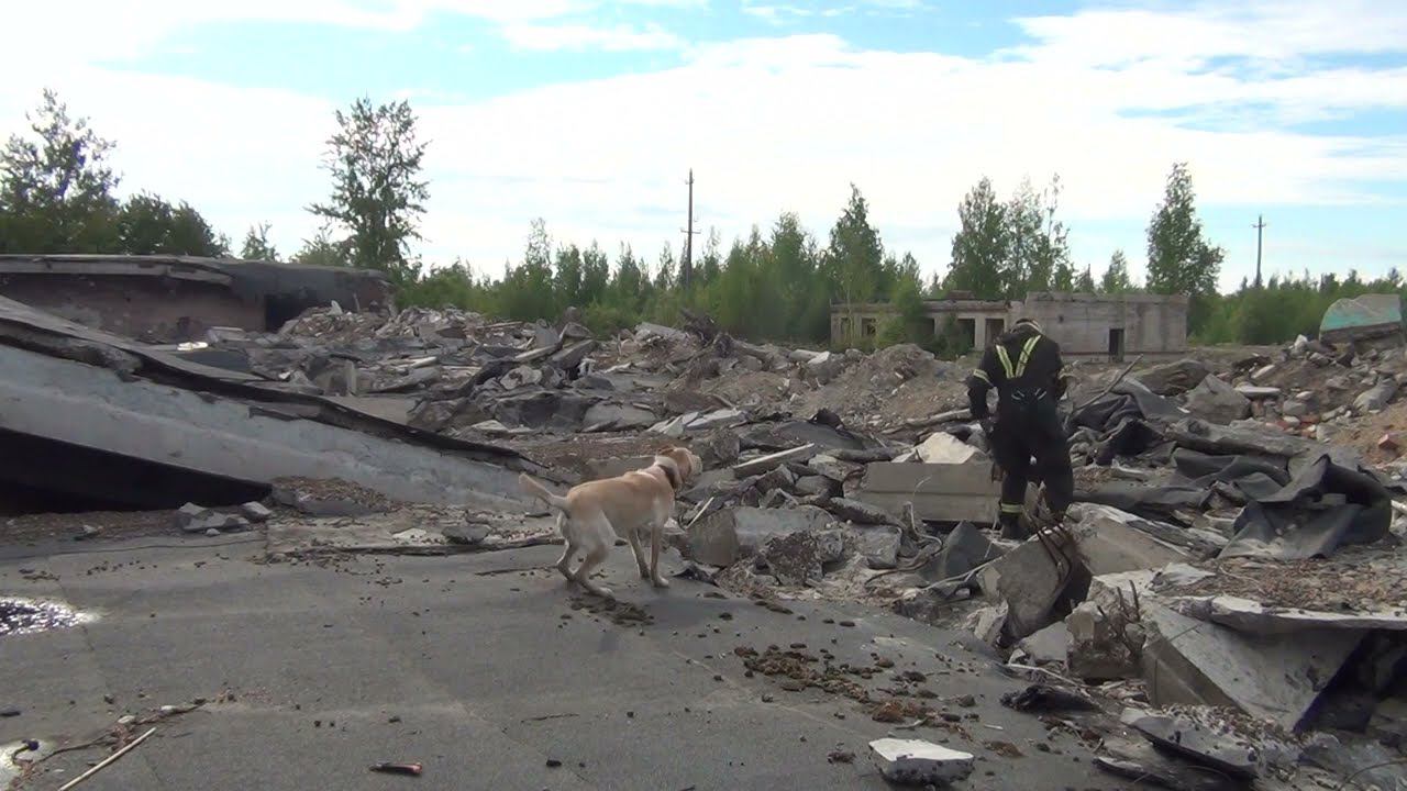 Рокки техно 05062022 смотреть онлайн
