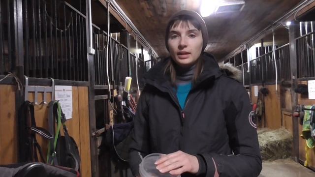 Стоит ли угощать лошадь? смотреть онлайн