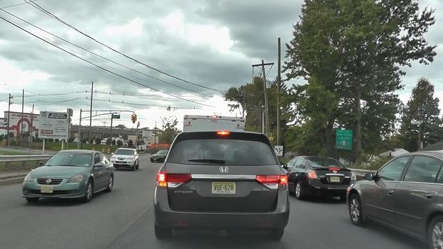 Опасные насекомые и животные в США смотреть онлайн