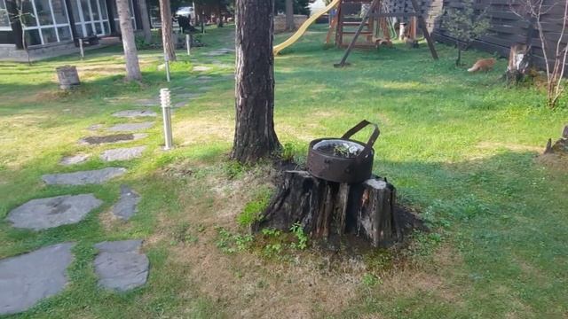 Прогулка по дачному участку. Высадила однолетники. смотреть онлайн