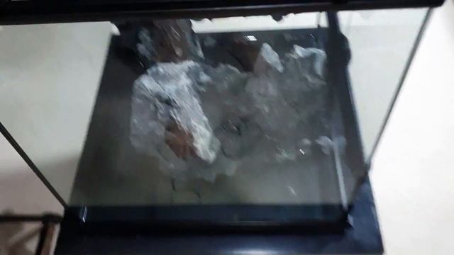 Fire Belly Toad Bioactive Paludarium Build - How To Make A Waterfall From Expanding Foam смотреть онлайн