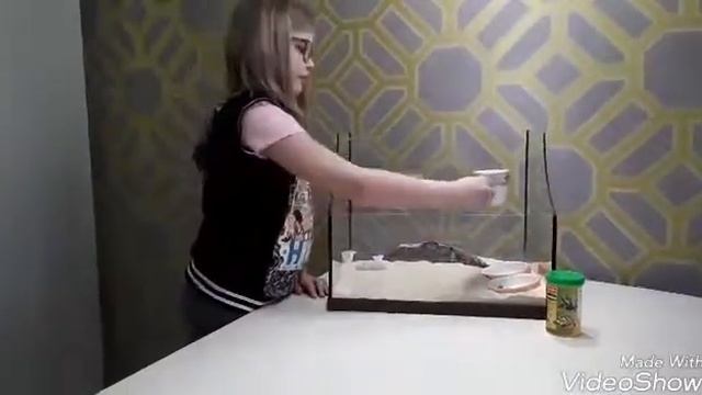 Терариум для моей черепахи Юли!!! смотреть онлайн