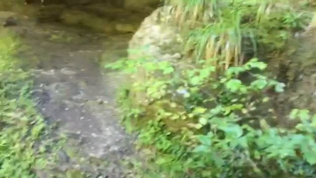 Ибах, Швейцария. смотреть онлайн