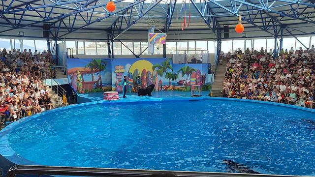 дельфинарий адлер