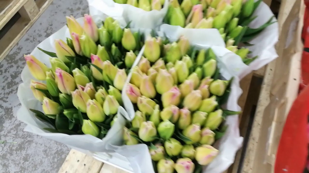 Для « Вдохновения»?? смотреть онлайн