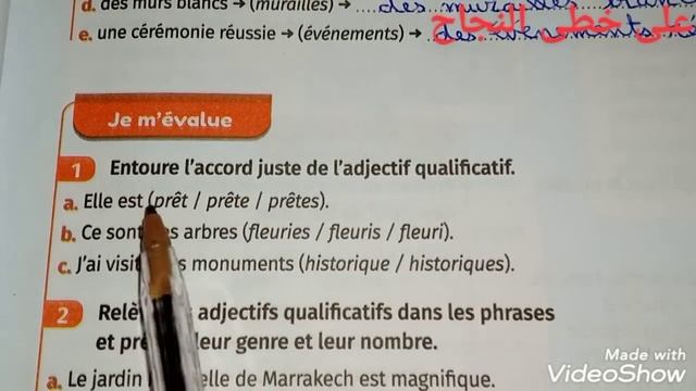 l'accord de l'adjectif qualificatif/page 35/mes apprentissage en français 6AEP смотреть онлайн