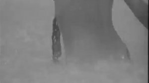 +18 .«Первый учитель» (1965). Первая роль Натальи Аринбасаровой. Сцена с купанием