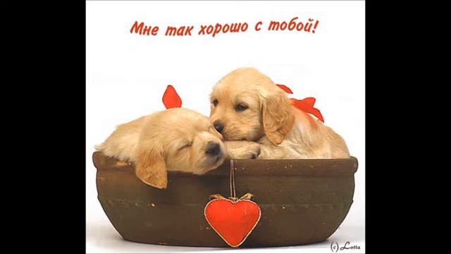 ТОМУ КОГО ЛЮБЛЮ смотреть онлайн