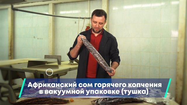 СБЫТ РЫБЫ в УЗВ - Как и Где продавать АФРИКАНСКОГО СОМА? Рыбоводный БИЗНЕС с НУЛЯ смотреть онлайн