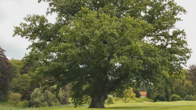 Класс НАСЕКОМЫЕ. Коротко о главном | ЭНТОМОЛОГ from rus смотреть онлайн