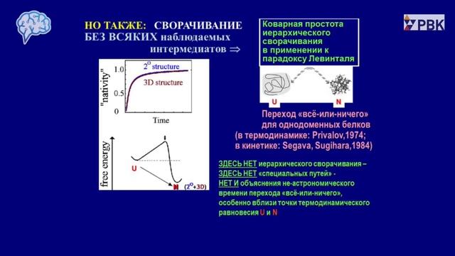 Финкельштейн А.В. Проблема самоорганизации белковых молекул смотреть онлайн