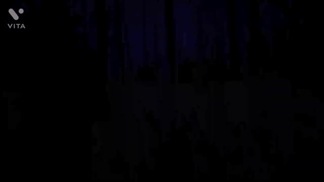 Dark Den - Dark Woods / Walking Through A Dark Forest. Прогулка по тёмному лесу. Promenade. Bois