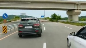 Мой пёс руни 2023  южная Корея