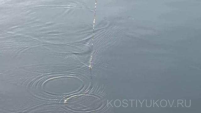 Рыболовный рай в дельте реки Или смотреть онлайн