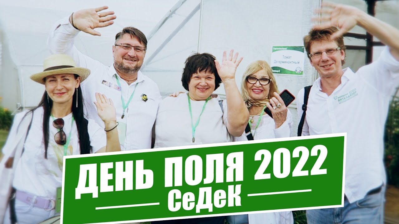 Октябрина Ганичкина День Поля в СеДеК @agrocompany_sedek ЖИРДЯЙ и КУКЛЫ_ Детерминантные томаты !!!