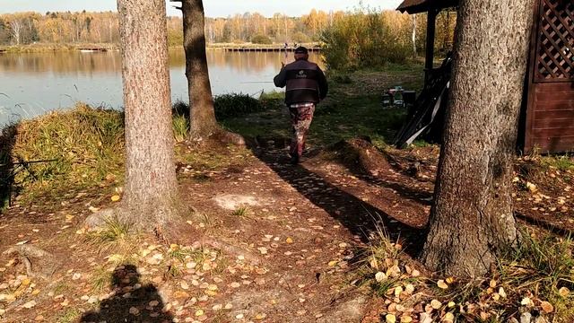 Трофейный Карп Осенью на бойлы. Рыбалка на карпа на озере. смотреть онлайн