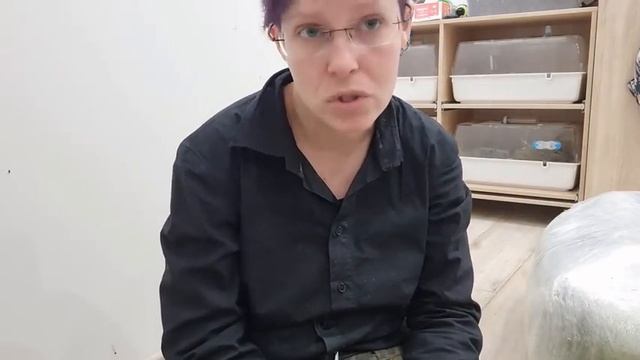 Распаковка: поводки, лежанки, лакомства для собак. У кого мы заказываем амуницию? смотреть онлайн