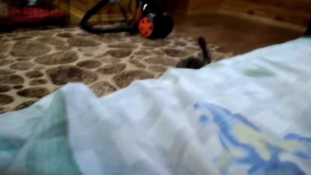 Внимание ведётся незаконное видеонаблюдение!!!!:-D? смотреть онлайн