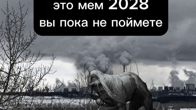МЕМ 2028
