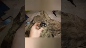 Замена внутреннего левого тришипа и правого шруса Dacia logan 2006г.