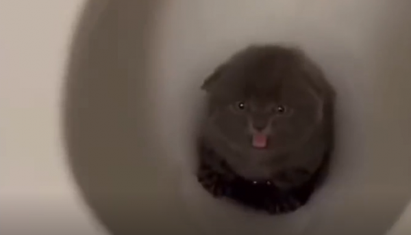 ЛУЧШИЕ МЕМЫ | MEMES COMLILATION январь 2023 part1