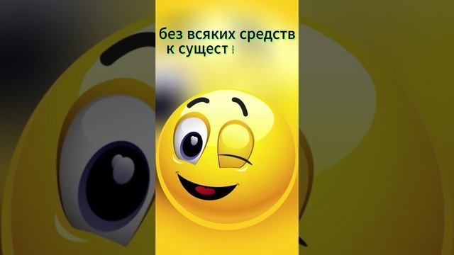 Кошек я уважаю. Юмор. #shorts смотреть онлайн