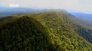 Дикая природа Индонезии    Острова монстров