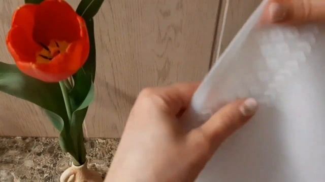 Покупки на лето.??? Отзыв о Любимом Васильке.Свинки в ударе ?? видео топ 10 . 2021 смотреть онлайн
