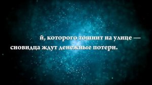 К чему снится пьяный мужчина - Онлайн Сонник Эксперт