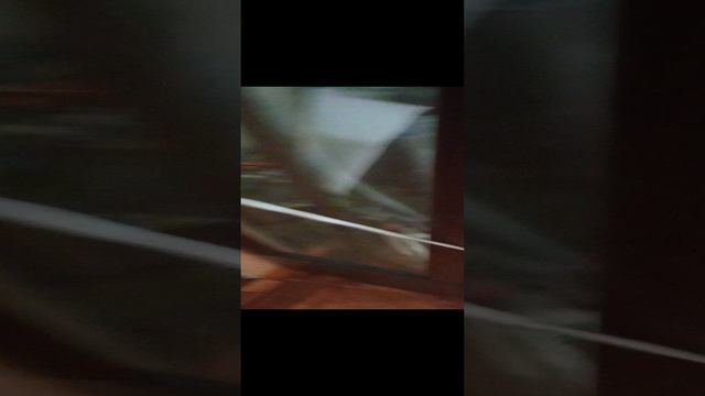 крутые видиё смотреть онлайн