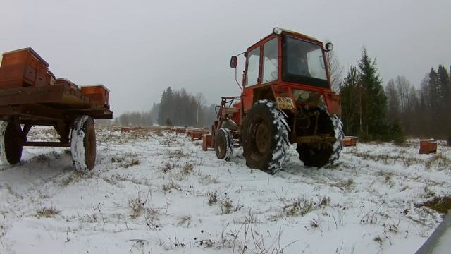 ?Зимовка 2019?Новый зимовник? смотреть онлайн