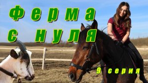Весна!/Новые друзья/Новые приключения