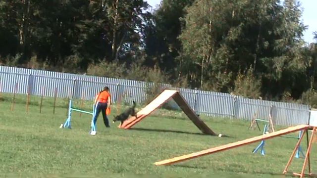 ДЦ *ZооИмперия* г.Ярославль смотреть онлайн