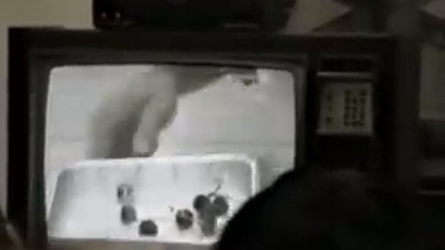 Fundamentals Of Refrigeration Beginner Level Part 2