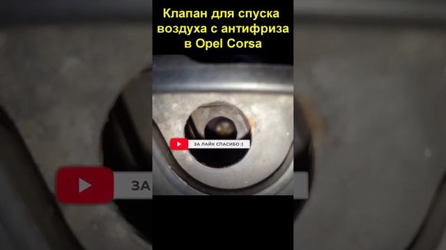 Клапан для спуска воздуха с антифриза в Opel Corsa1 смотреть онлайн