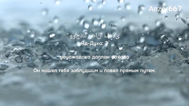 Мухаммад Аль Люхайдан Сура Ад Духа смотреть онлайн